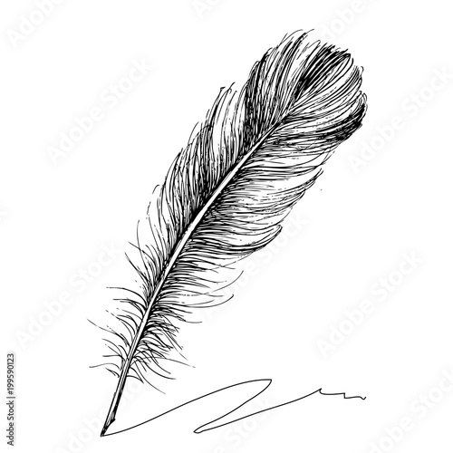 Feather with ink.
