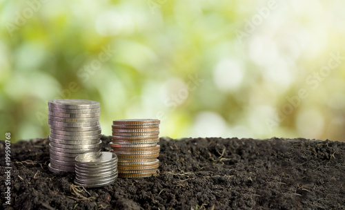 coins in soil, saving money concept
