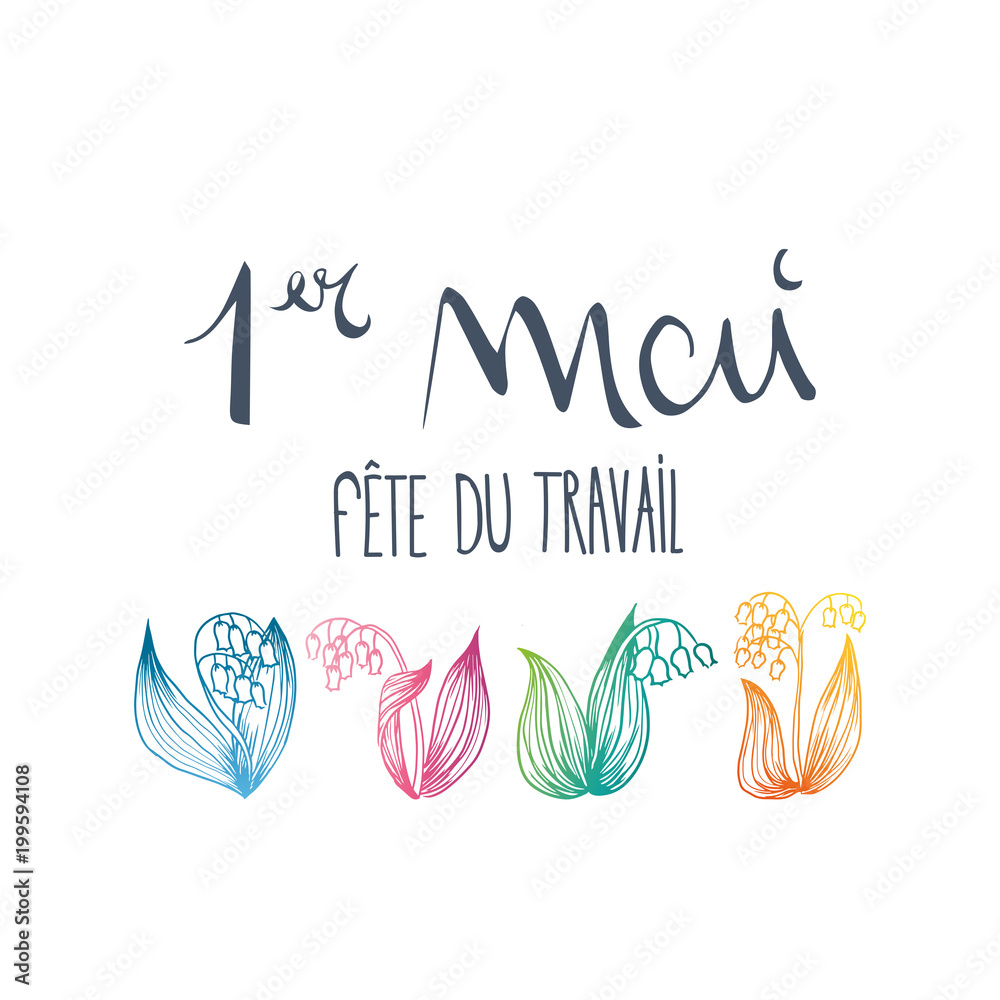 Fototapeta premium 1st may thrush flower