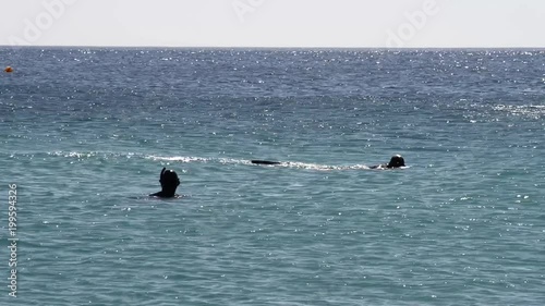 due sub in immersione perlustrano il fondale del  mare a pochi passi dalla riva photo