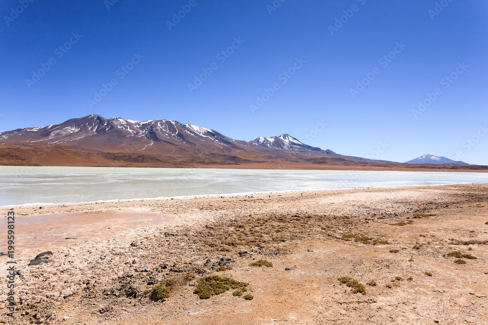 Laguna Hedionda view, Bolivia