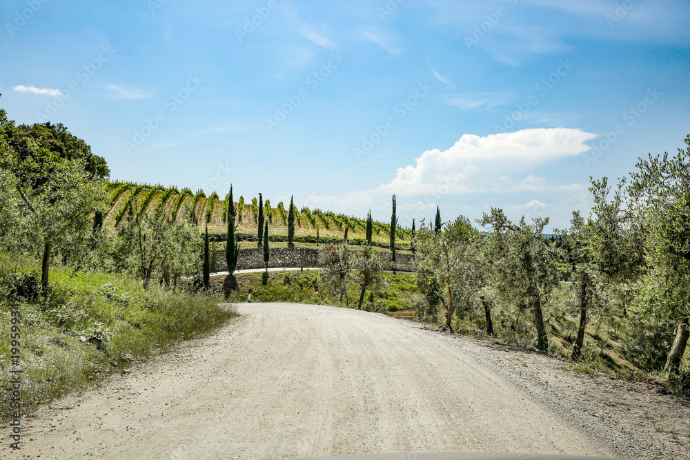 summer road in tuscany 