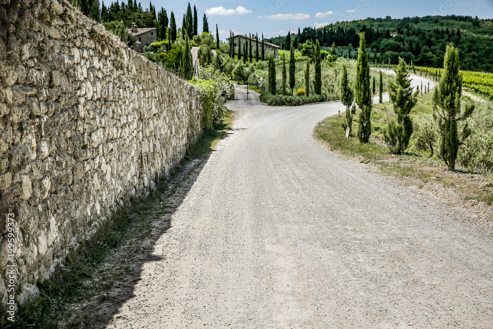 Fototapeta premium summer road in tuscany 