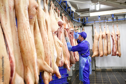 Fotografie Butcher cutting pork  at the meat manufacturing.