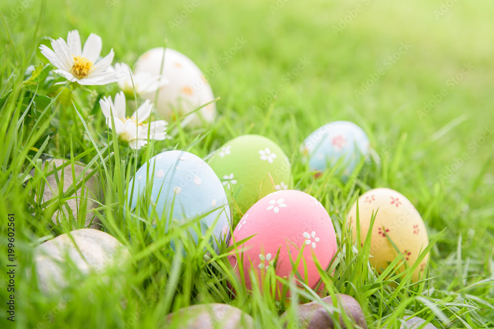 Happy easter!  Closeup Colorful Easter eggs in nest on green grass field during sunset background.