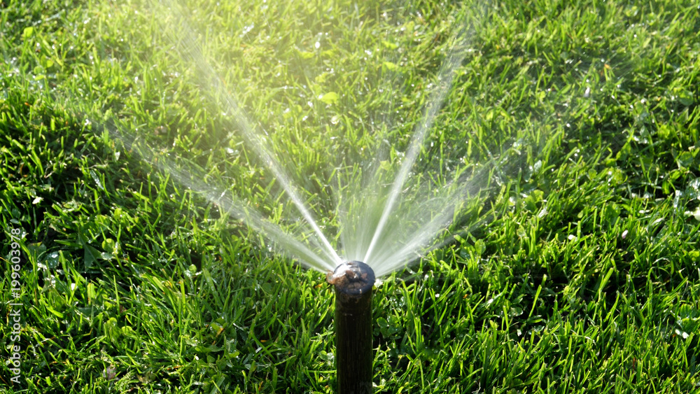 watering lawn smart garden activated with full automatic sprinkler irrigation system working early in the morning in green park  - obrazy, fototapety, plakaty 