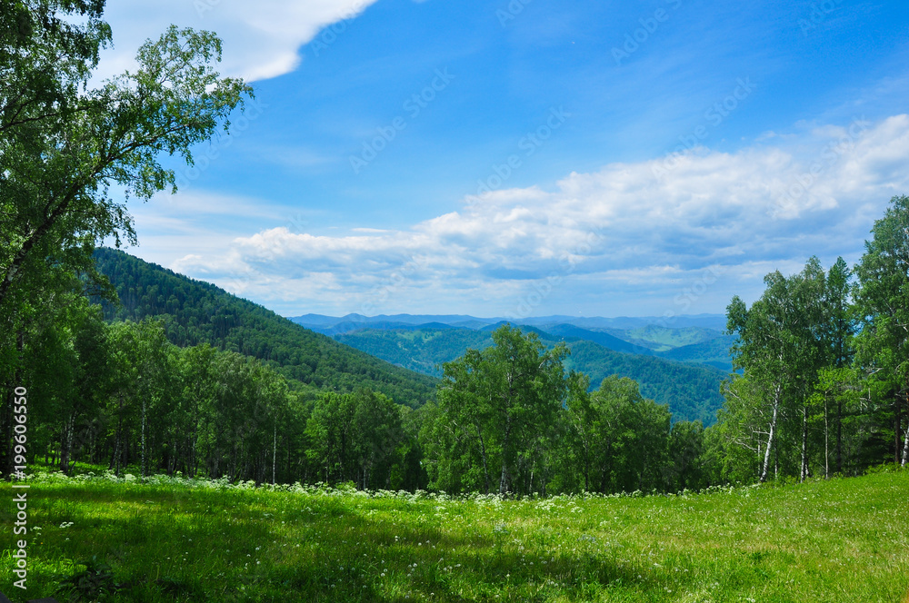 Green meadow and forest against the mountains. Altai, Russia. Green meadow and forest against the mountains. Altai, Russia.