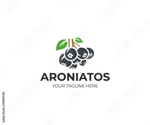 Aronia berry logo template. Chokeberry vector design, Fruit logotype photo
