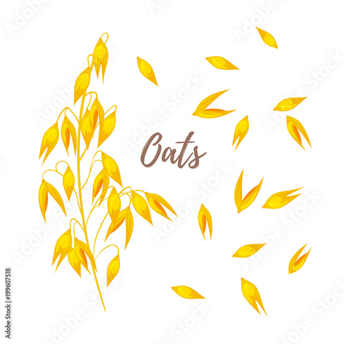 cereals - oats and seeds