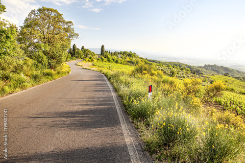 Summer road background of free space 