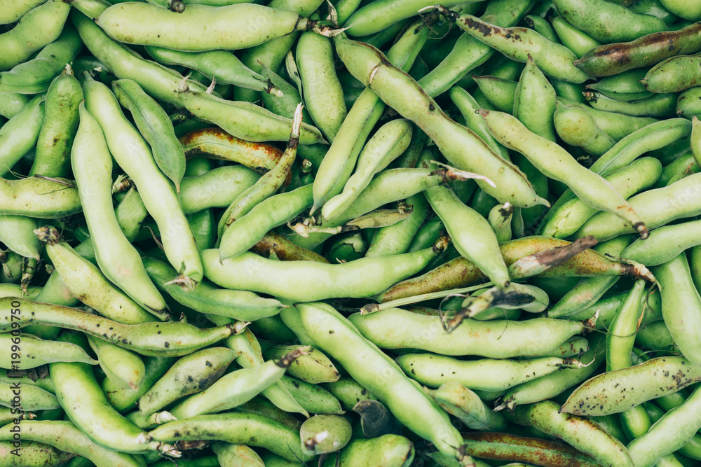 Texture background of green harvest of beans, top view