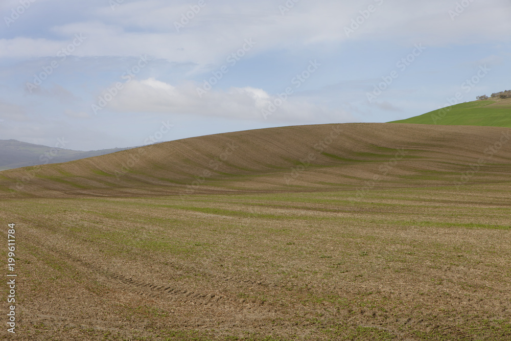 atmosfera primaverile 