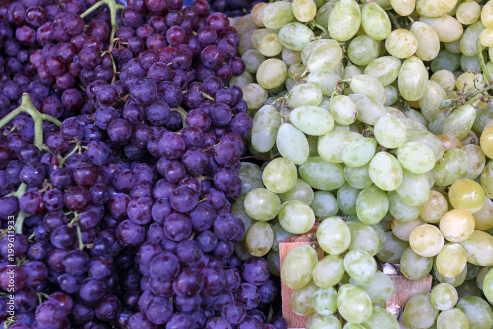White (green) and dark (blue) grapes, grapes background for eat or wine.  Two colors grapes. Fruit pattern texture. Sweet grapes. fresh organic fruit  grape wallpaper. Stock Photo | Adobe Stock
