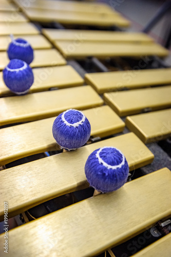 Xylophone, marimba or mallet player with sticks,