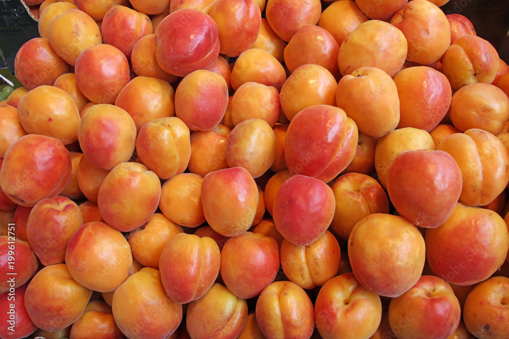 apricots at the market apricots at the market