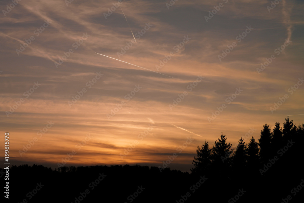 Sonnenuntergang mit Fichten und Kondenstreifen Sonnenuntergang mit Fichten und Kondenstreifen
