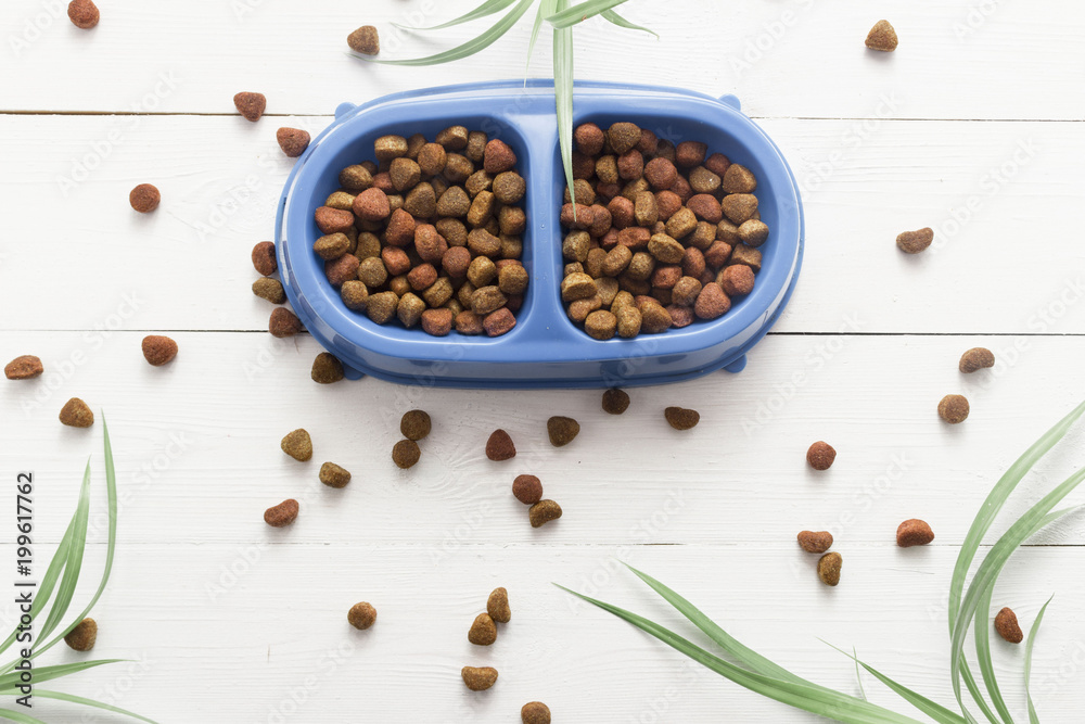Pet food for dog or cat in bowl on wooden background top view flat lay
