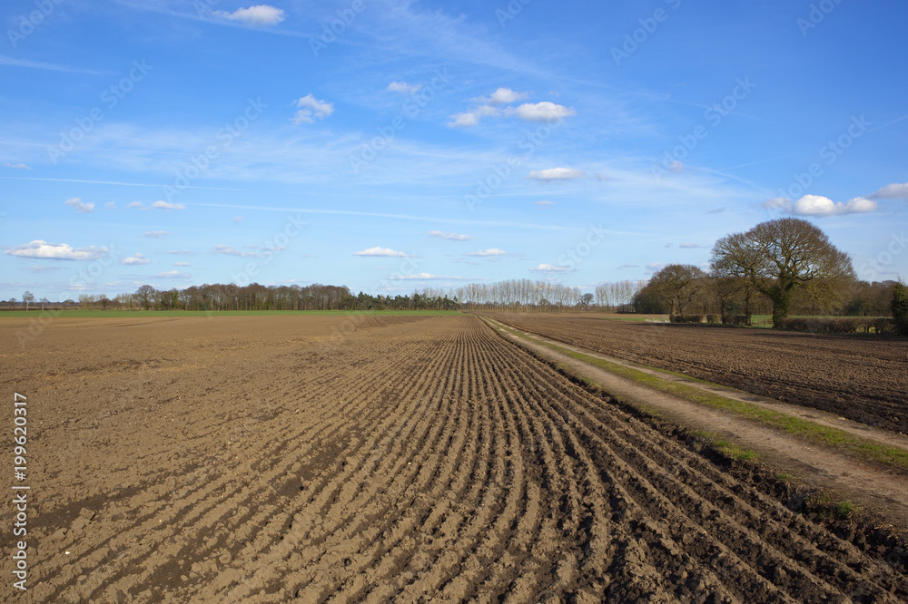 farm track with plowed fields