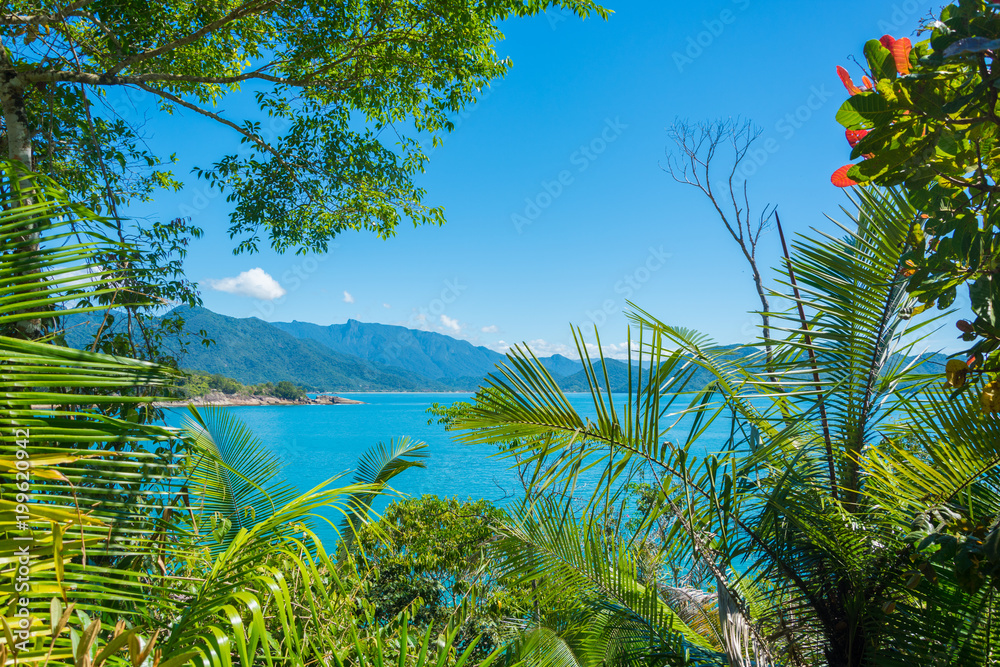 UBATUBA - NATURE - BRAZIL