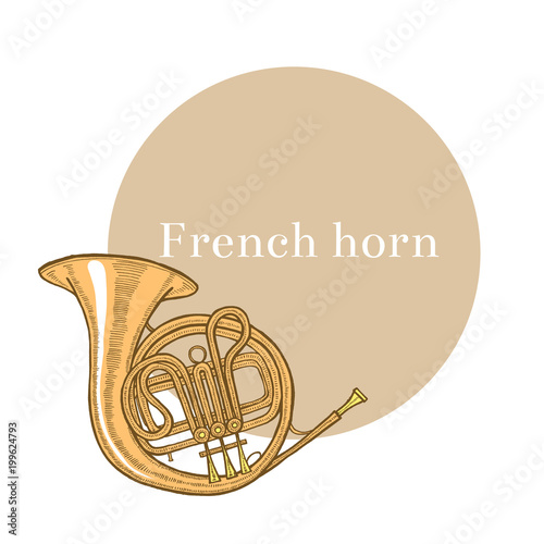 Colored French Horn in Hand-Drawn Style