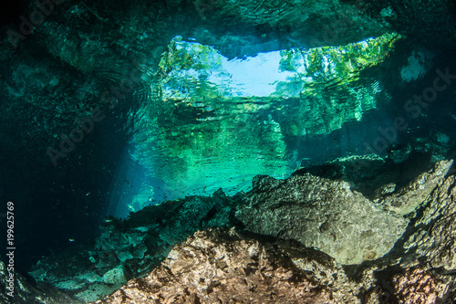Diving in the Cenote Nicte Ha in Yucatan  Mexico
