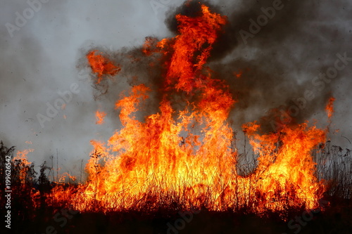 The fire of large areas of dry grass in the meadow can turn into a terrible tragedy as if it got close to residential houses.