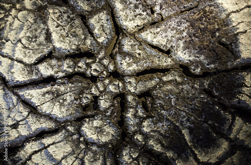 Фотография Rough stone texture
