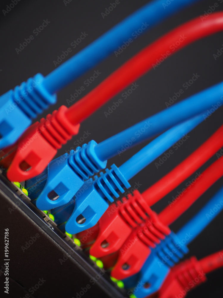 color RJ 45 plug in black switch. color RJ 45 plug in black switch.