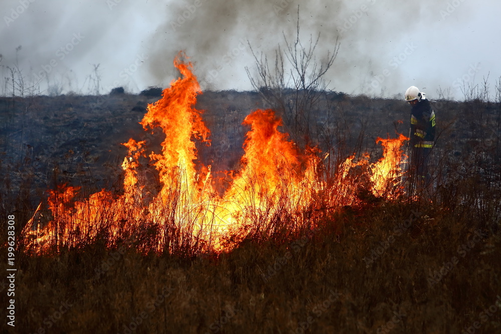 Guard during fire fighting on dry meadows.