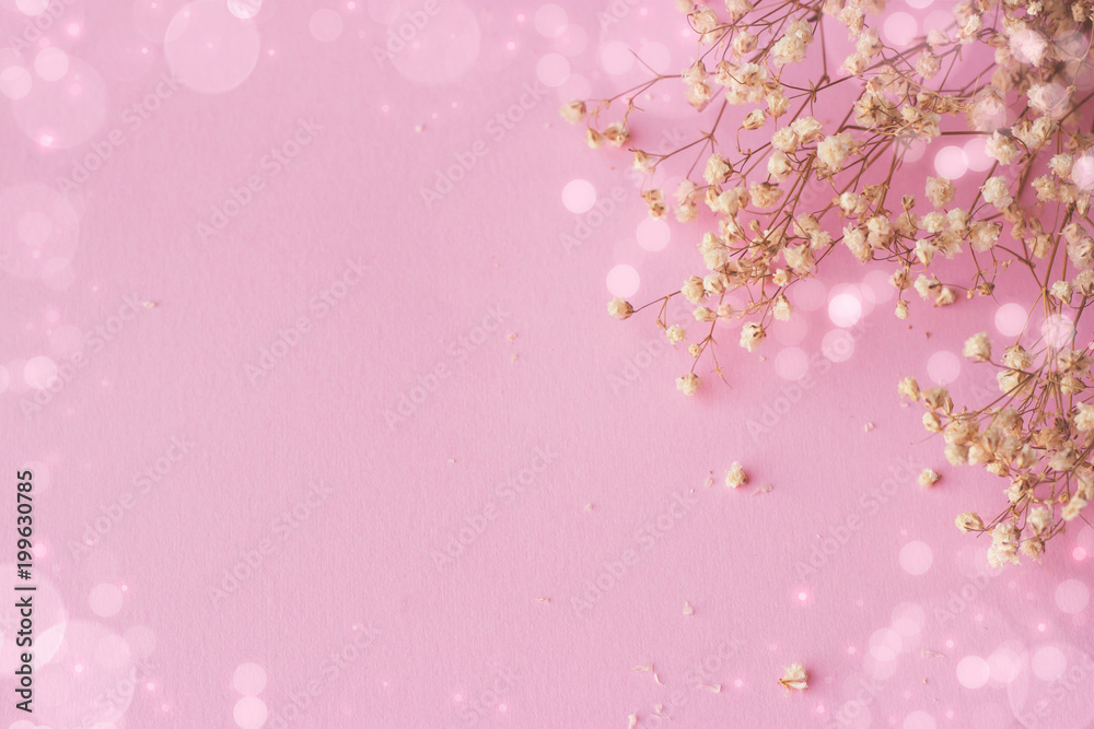 Pink background with small white flowers and bokeh, with copy space Pink background with small white flowers and bokeh, with copy space