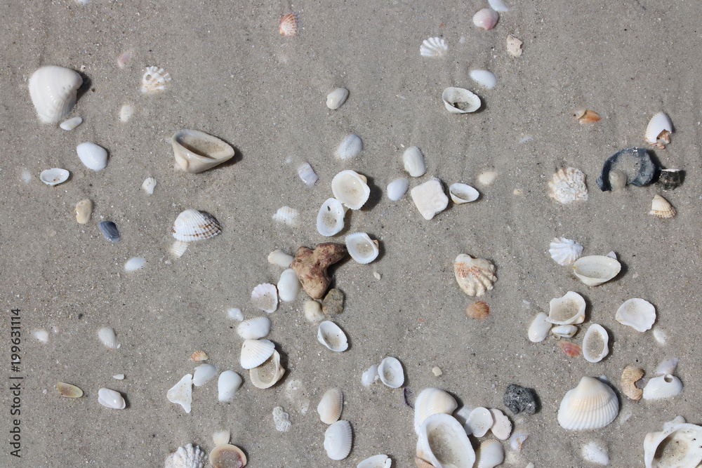 plage mer sable plage mer sable