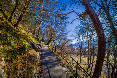Fototapeta Naklejka Na Ścianę i Meble -  Gorgeous outdoor view in the park in Alesund, Norway