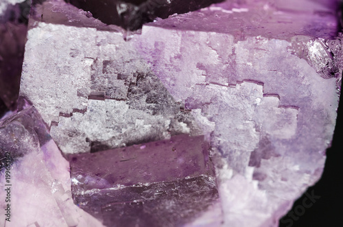 Fluorite surface closeup. Cubic crystals of fluorspar, a mineral form of calcium fluoride, CaF2. Colorful pink and purple crystal cluster. Isolated macro photo from above on black background.