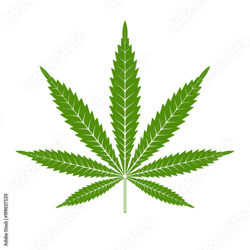 Marijuana or cannabis leaf Icon Vector Logo Template. Isolated illustration on white background.