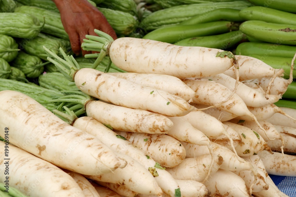radish at street food radish at street food