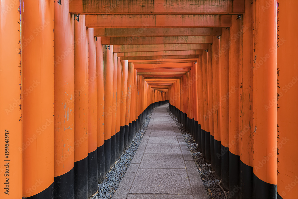 Thousands of vermilion torii gates at Fushimi Inari shrine in Kyoto Thousands of vermilion torii gates at Fushimi Inari shrine in Kyoto