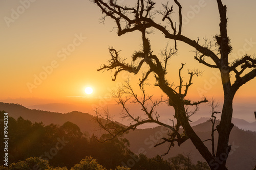 scenic of sunrise on hill with structure dry branch tree silhouette