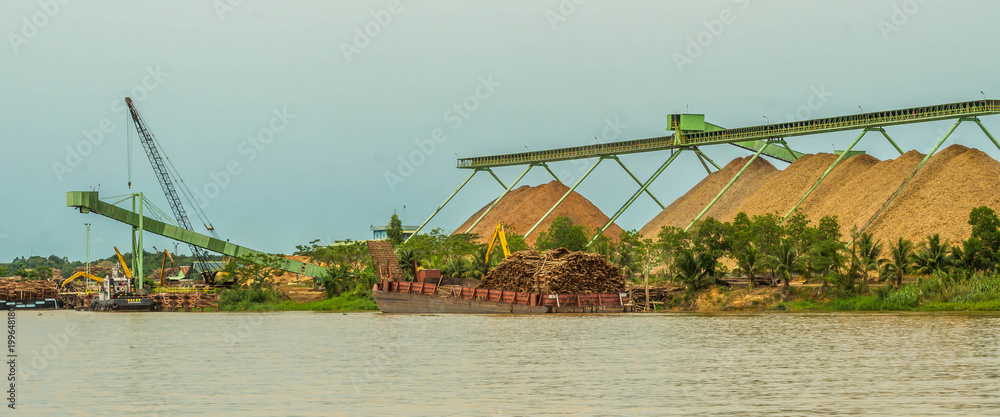 Obraz premium wood chip stockpile factory on Mahakam riverbank. industrial background