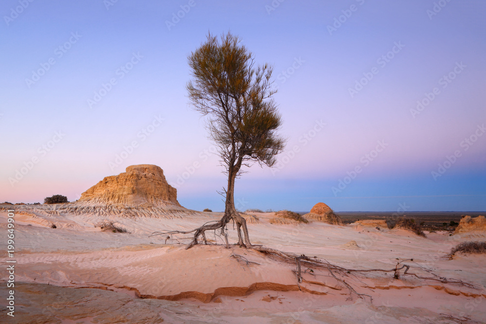 Φωτογραφία Searching for water arid landscape
