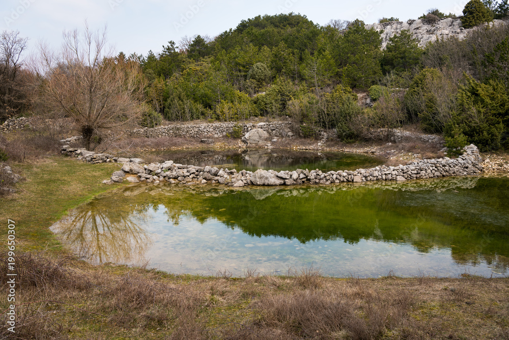 Small ponds watering place for sheep in spring near Lubenice Small ponds watering place for sheep in spring near Lubenice