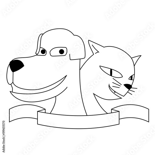 dog and cat friends