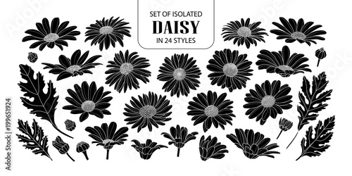 Set of isolated silhouette daisy in 24 styles.
