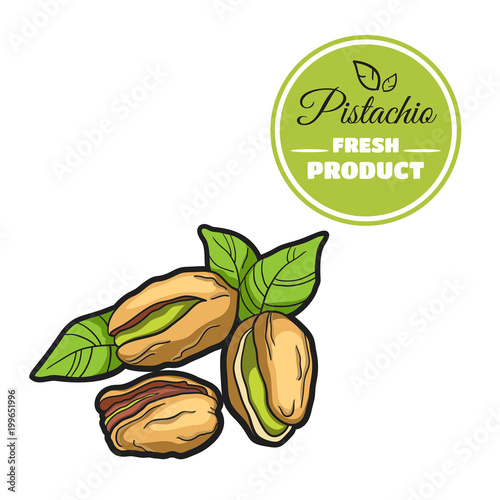 Colored Pistachio On White