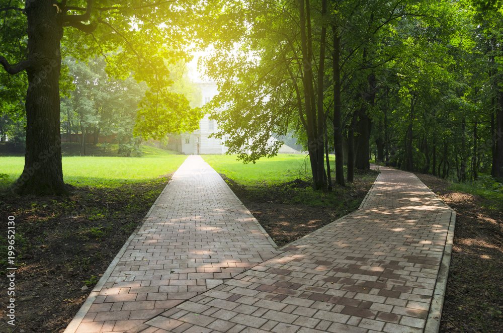 Fototapeta premium Fork in the road in the empty park.Sunny summer morning. 