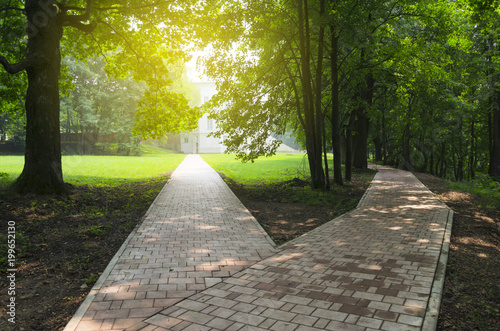 Fork in the road in the empty park.Sunny summer morning. 