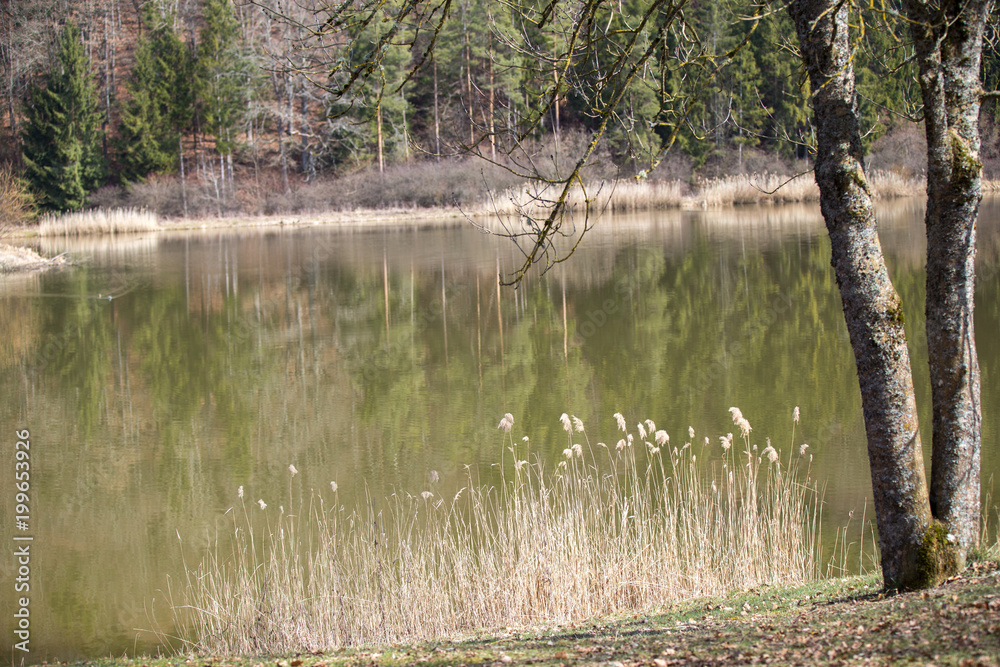 Obraz premium Empty spring lake