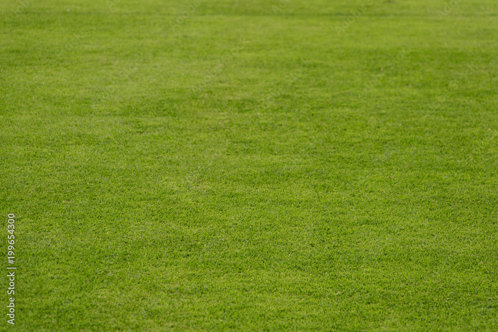 Naklejka Tekstura zielona trawa. Zielonej łąki trawy pole dla futbolu. Stadionowa trawa. Selektywne ustawianie ostrości.