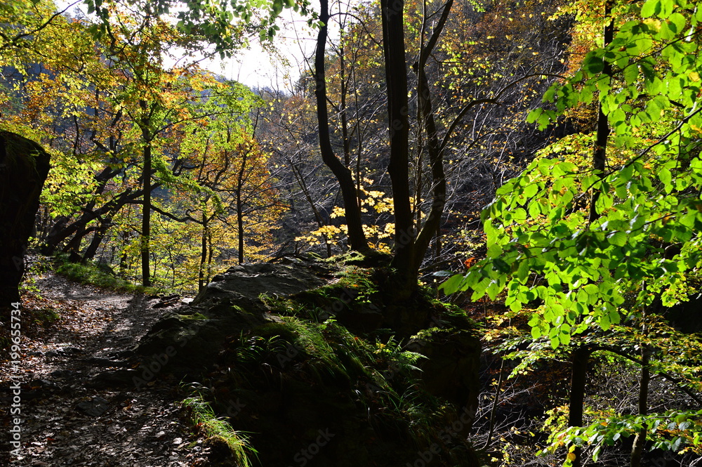 Fototapeta premium Herbst im Bodetal im Harz