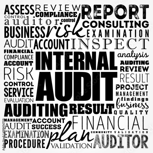 Internal Audit word cloud collage, business concept background