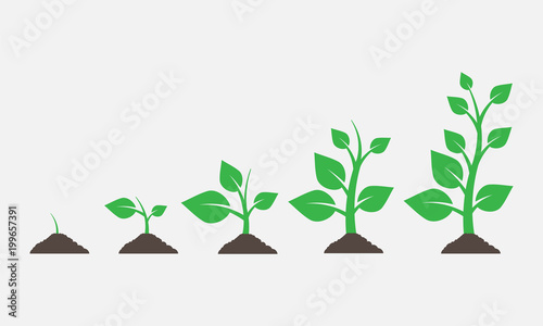 Plants growing in the ground. Vector illustration.